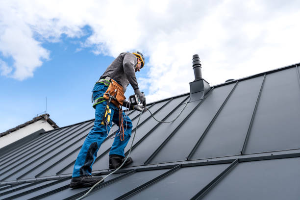 Best Asphalt Shingle Roofing  in Forney, TX